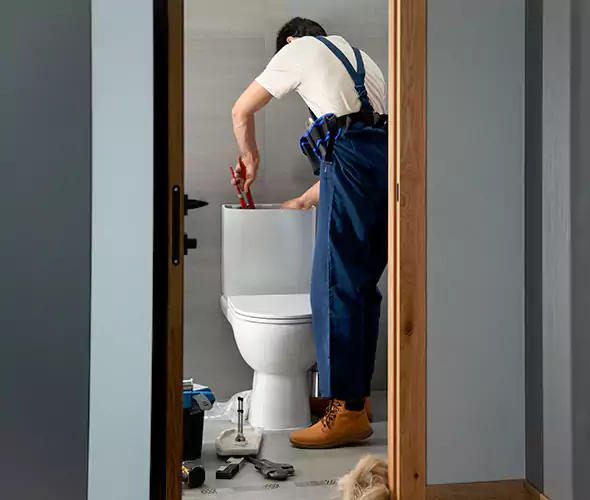 Professional Plumbers for Toilet Bowl Replacement in Lewisville, TX: Schedule Affordable Toilet Replacement Services With Us