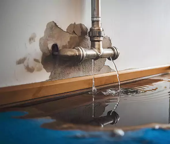 Professional Water Damage Restoration Experts in Lewisville, TX — Fast, Reliable & Certified