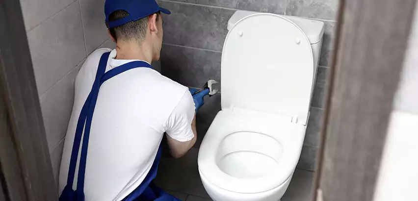 Toilet Lid Replacement in Lewisville